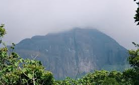 Trekking in Agasthyarkoodam 