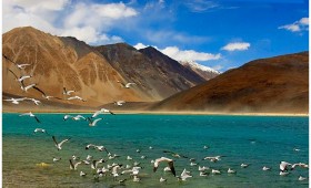 A trekking holiday to the land of high passes, Ladakh