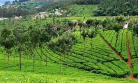 A weekend holiday trip to Coonoor