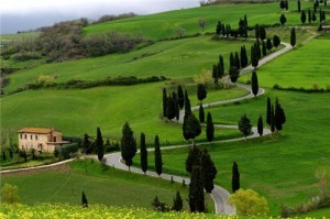 Ooty-Green-Garden