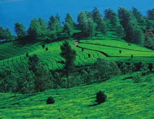 Coorg_Tourism