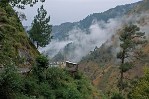 kasauli