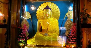 buddhist-circuit-tour