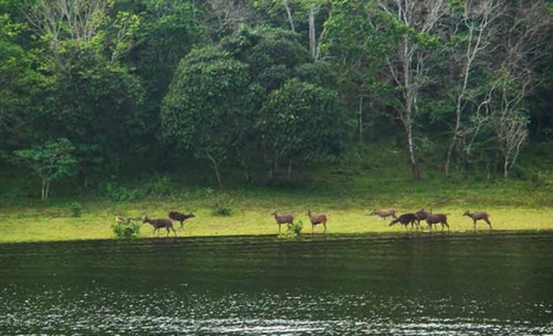 Thekkady awarded by PATA as one of the two top emerging tourist destinations of the world
