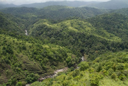 New monsoon packages in Silent Valley National Park, Palakkad