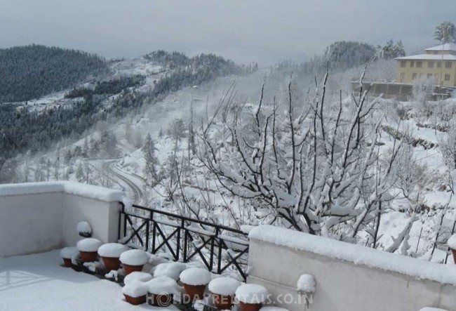 Krish Rauni - The Apple Orchard Inn, Shimla