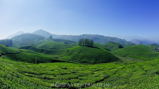 Puthussery Homestay, Munnar