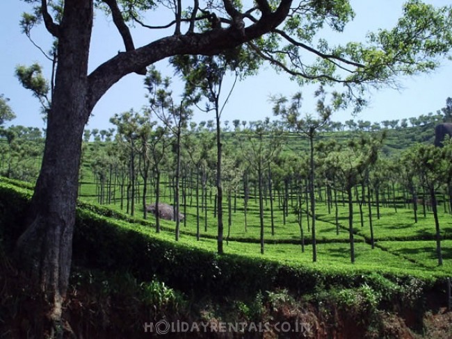 Belair Cottages Guesthouse Booking Kotagiri Holiday Rentals