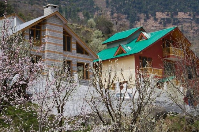 River View Cottages, Manali