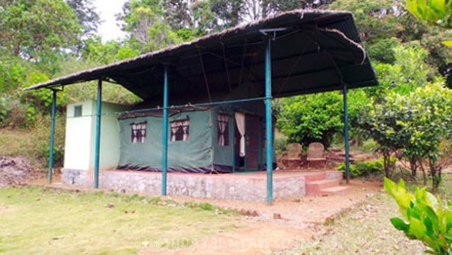 Forest tented cottage camp, Pathanamthitta