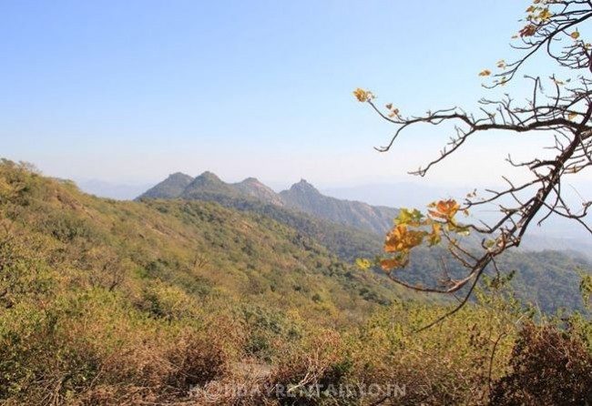 River facing Resort, Mount Abu