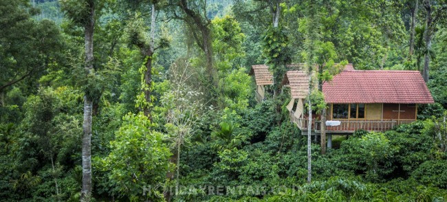 Eco Friendly Holiday Stay , Wayanad