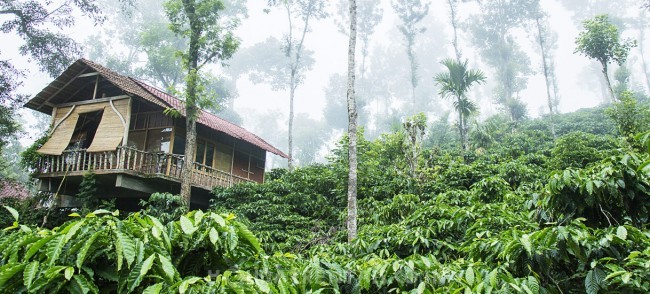Eco Friendly Holiday Stay , Wayanad