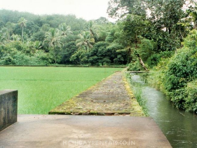 Estate Bungalow, Kottayam