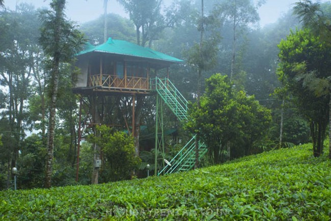 Tea Estate View Holiday Stay, Munnar
