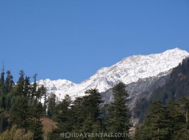 5 Bedroom Bungalow, Manali