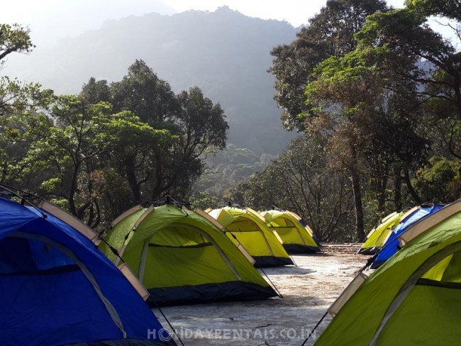 Farm Cottages and Cave house, Wayanad