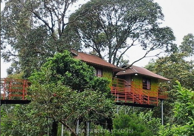 Holiday homes & Tree huts, Munnar