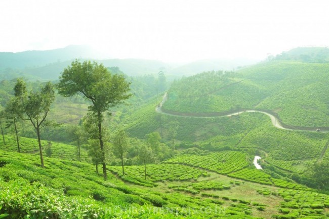 Valley View Stay, Vagamon