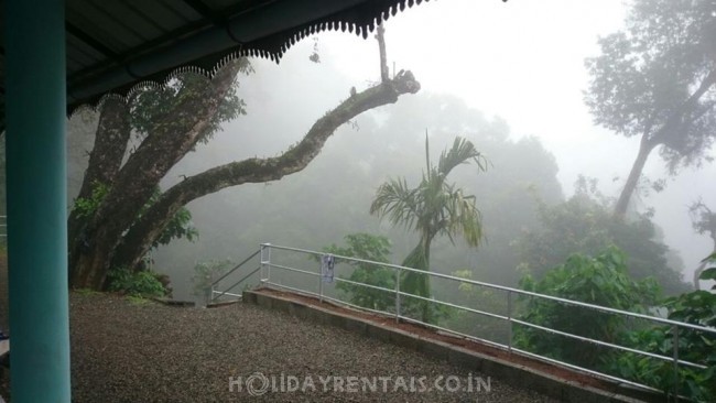 Nature Stay, Munnar