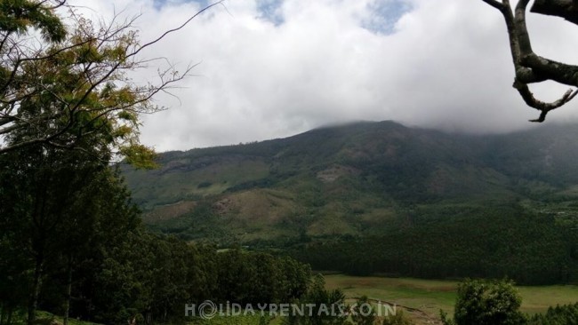 Nature Stay, Munnar