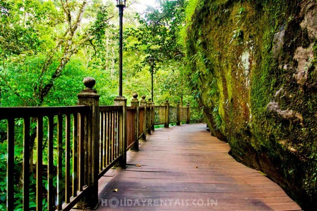 Spice plantation bungalow, Thekkady