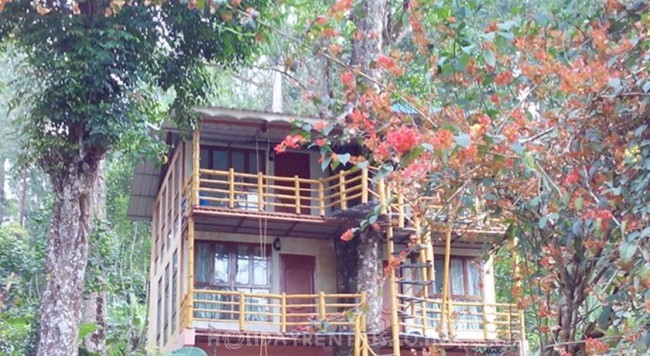 Jungle Treehouse, Munnar