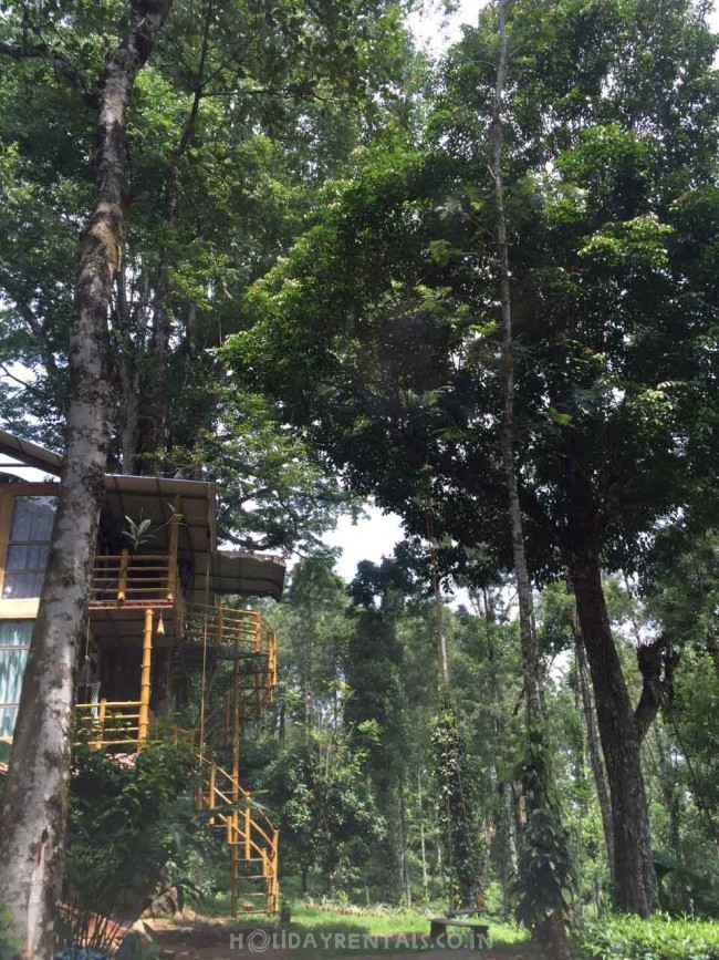 Jungle Treehouse, Munnar