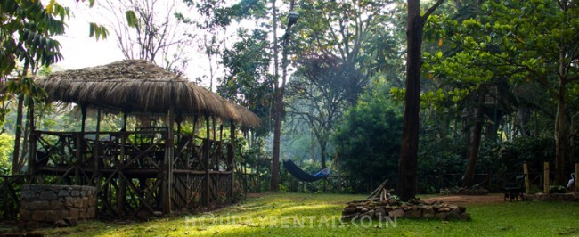 Jungle Villa & Tree house, Masinagudi