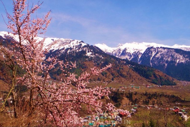 Hill Dwelling, Manali