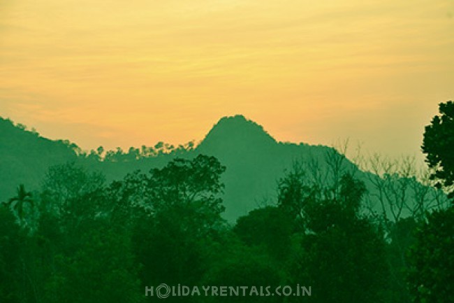 Mountain View holiday Stay, Wayanad