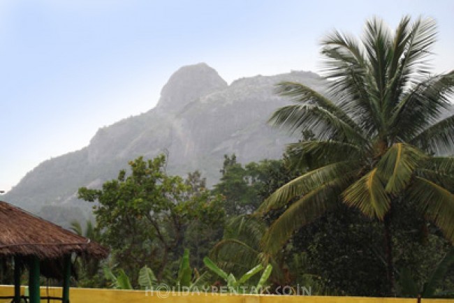 Mountain View holiday Stay, Wayanad