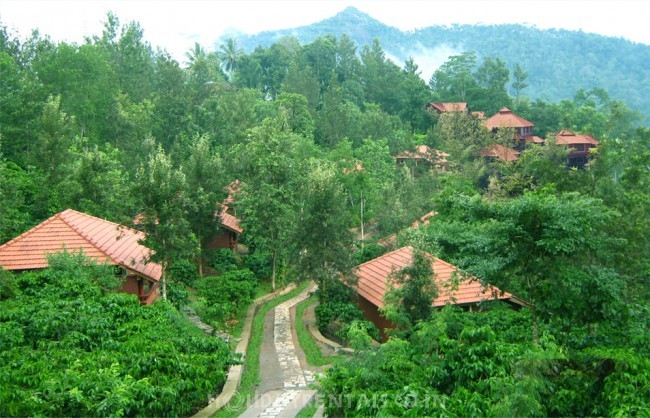 Valley View Cottages, Wayanad