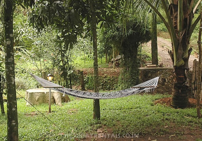 Valley View Stay, Munnar