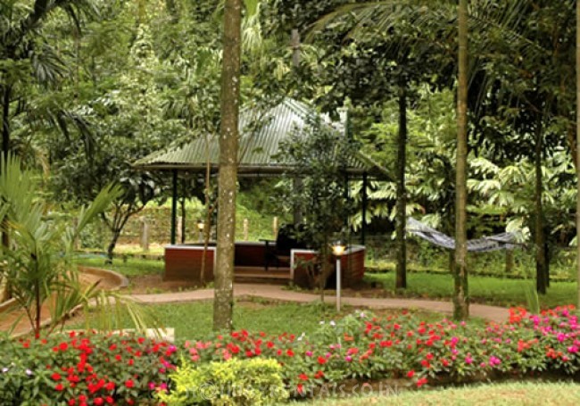 Valley View Stay, Munnar