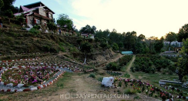 Fog Hills Cottages, Ranikhet