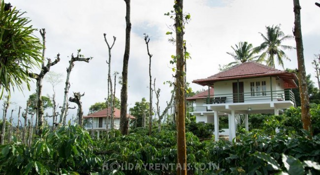 Mountain View Cottages, Wayanad