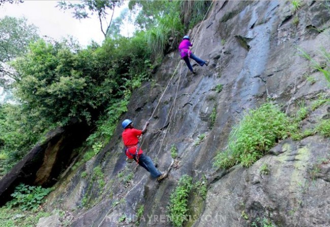 Tea Valley Stay, Munnar