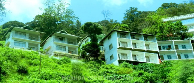 Misty View Stay, Munnar