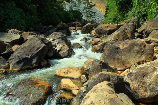 Stay near Kallar Waterfalls, Munnar