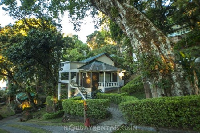 Nature Stay, Munnar