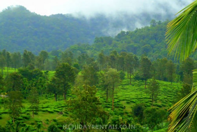 4 Bedroom Holiday Home, Wayanad