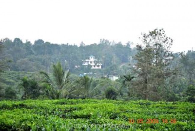 4 Bedroom Holiday Home, Wayanad