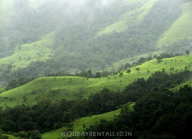 Home near Rajas Seat, Madikeri