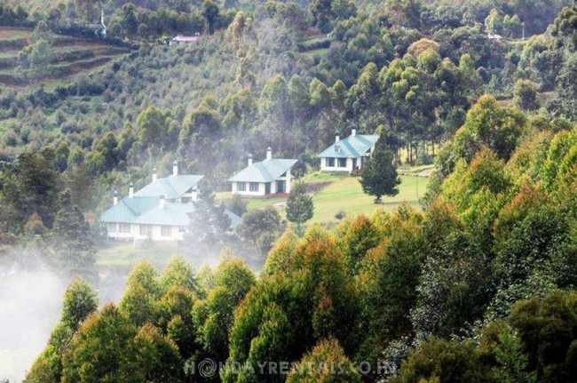 Mountain View Cottages , Munnar