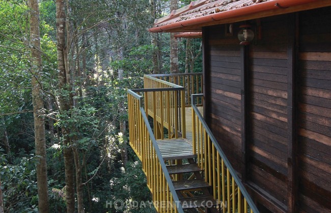 Jungle Resort Devala, Nilgiris