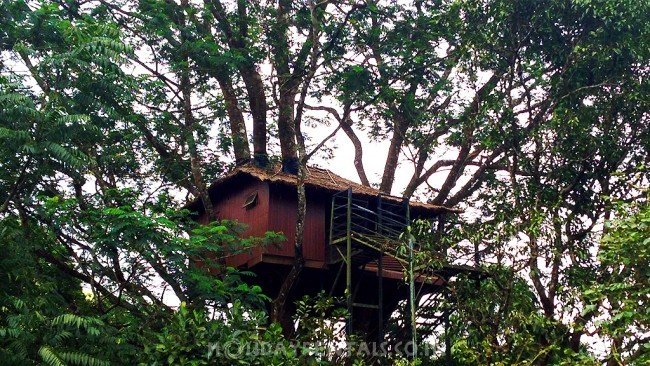 Farm Resort Vagamon, Vagamon