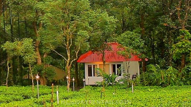 Farm Resort Vagamon, Vagamon