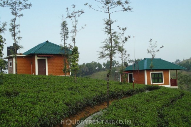 Hill View Cottages, Vagamon