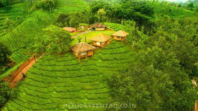 Tea Estate View Holiday Stay, Wayanad